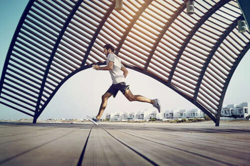 maf_day1_17_08_17_2629_v3-copy