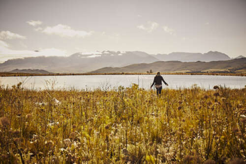 s_10_2019_08_31_red_tag_w19_d2_135