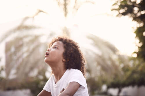 maf_day1_17_08_17_0033