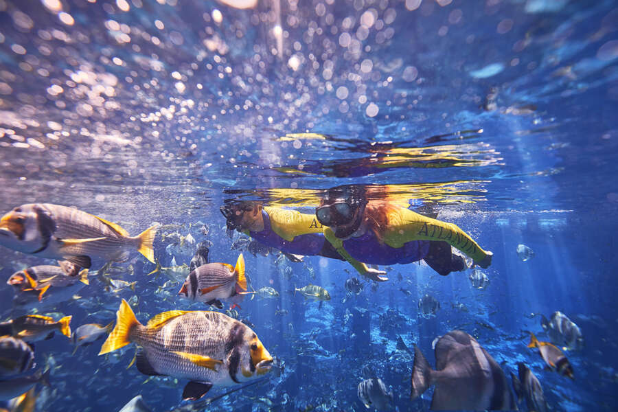 aquarium-snorkel_1290-2-copy