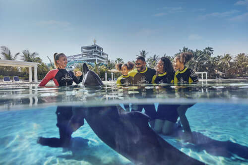 20220830_Aqua Adventure_SH01_01035_v1 copy