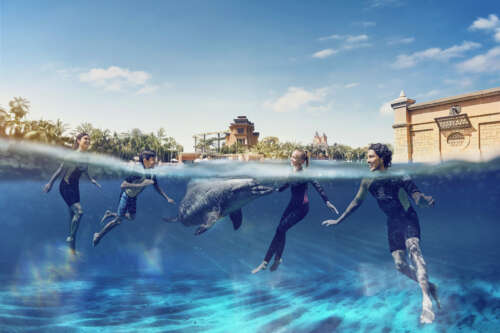 20220830_Aqua Adventure_SH02_00125_final_v1 copy