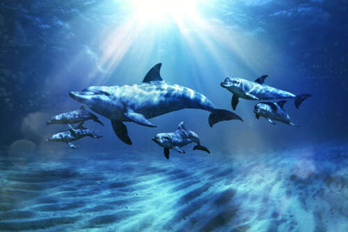 20220830_Aqua Adventure_SH05_01050_v1 copy