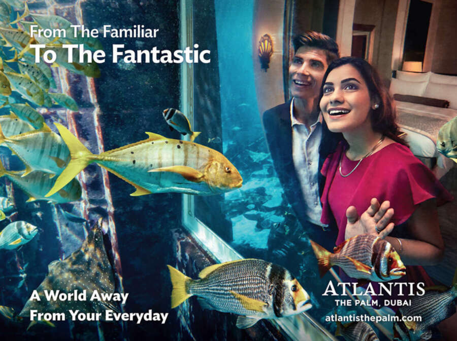 Screen Shot 2023-01-25 at 12.49.43 PM