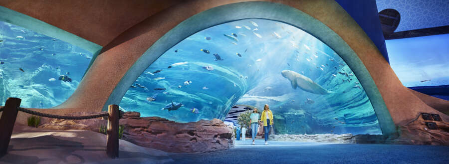 20230518_SEA WORLD_DUGONG TUNNEL_4c