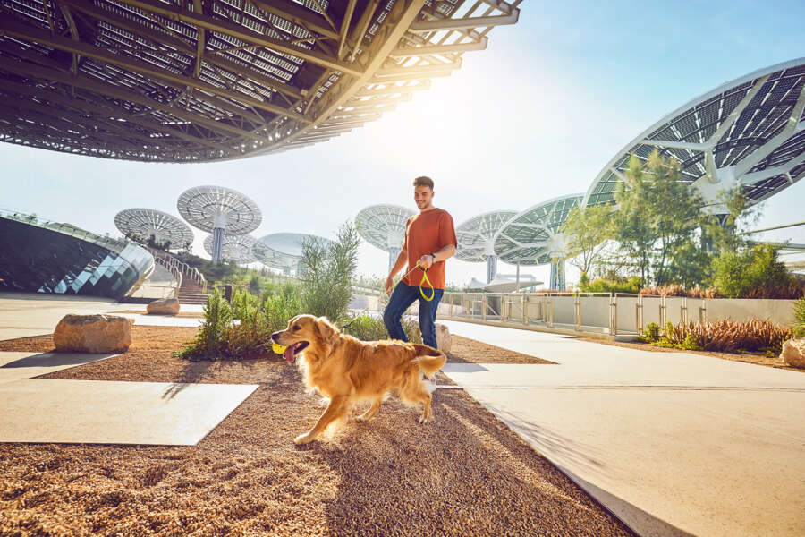 20230608_EXPO_D3_SHOT-2_00337_v1 copy 2