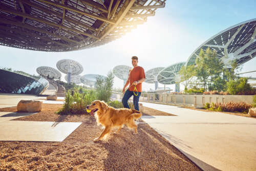 20230608_EXPO_D3_SHOT-2_00337_v1 copy 2