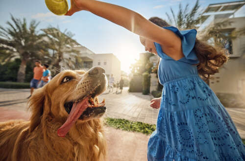 ALDAR DAY 1 SUSTAINABLE CITY10775 copy