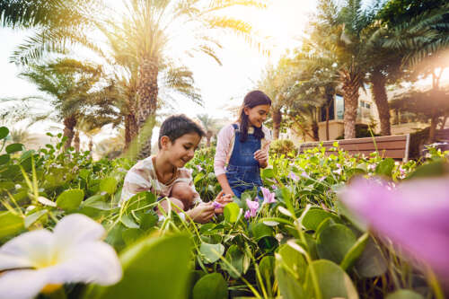 ALDAR DAY 2 SUSTAINABLE CITY _F4A0836 copy