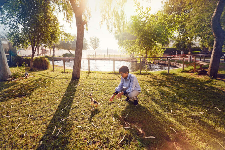 ALDAR DAY 2 SUSTAINABLE CITY _F4A9832 copy