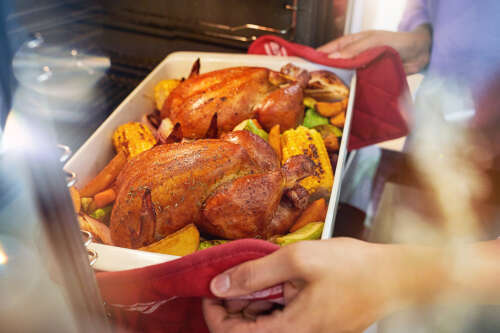 2021_11_23_SADIA_SHOT-3_00342 copy