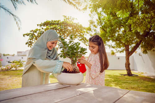 20221124_FCA_WATERING PLANTS_03848_v1 copy