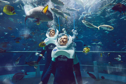 20240307_YAS ISLAND_SEA WORLD_D2_SEAVENTURE_v1 copy