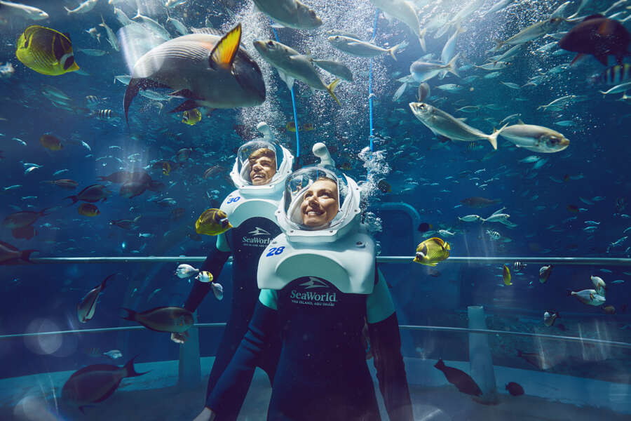 20240307_YAS ISLAND_SEA WORLD_D2_SEAVENTURE_v1 copy