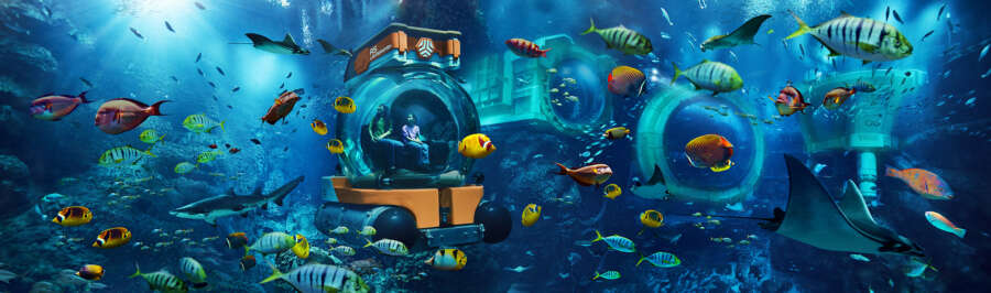 MASTER Seaworld_Layout 2